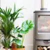 Charnwood Arc 5 multi fuel stove