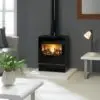 Gazco Black Vision Gas stove