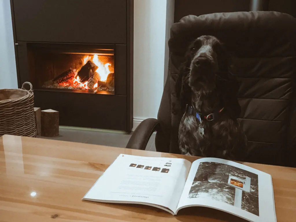 Stove Dog