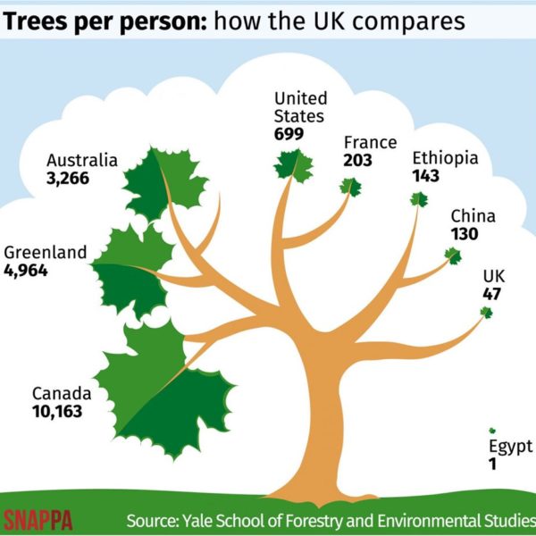 tree stat trees per person uk